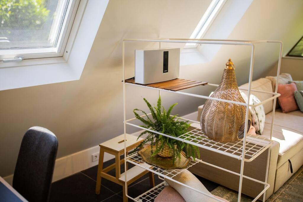 Wonderful 50M2 Loft Eindhoven - Ks8公寓 外观 照片