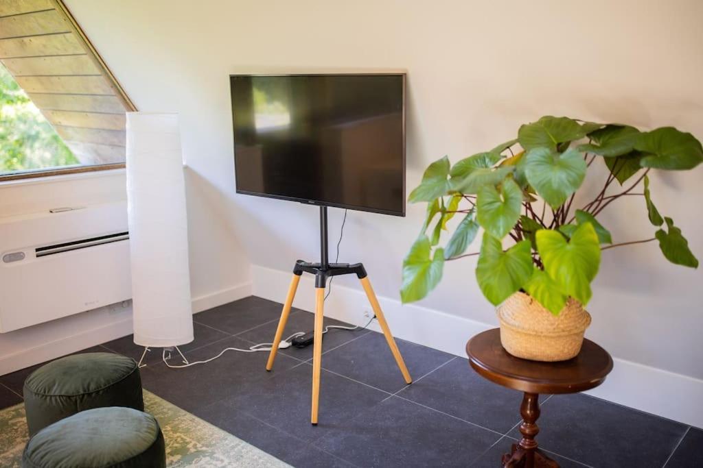 Wonderful 50M2 Loft Eindhoven - Ks8公寓 外观 照片